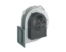 Gas Blower G3G250-GN17-01