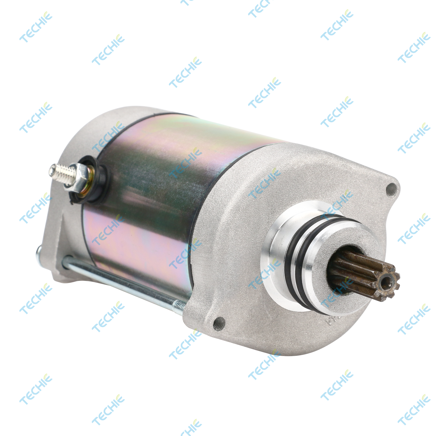 TS1S8010 Starter Motor Compatible with POLARIS 4013268