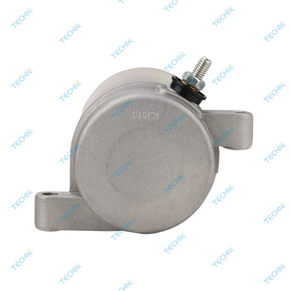 TS1S8015 Starter Motor Compatible with YAMAHA 4KB-81800-00