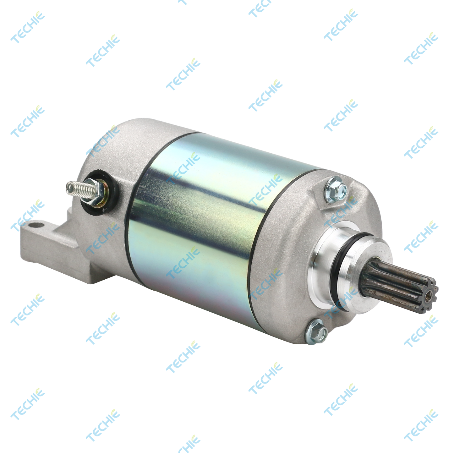 TS1S8283 Starter Motor Compatible with BOMBARDIER 420684280